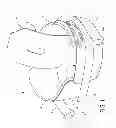 Fig. 02 - CONVERTIBLE ORTHOTIC BRACE