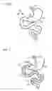Fig. 07 - Digestive tract device
