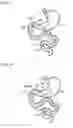 Fig. 08 - Digestive tract device