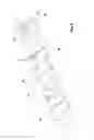 Fig. 06 - Medicament delivery device