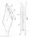 Fig. 02 - Absorbent articles having pockets and related methods therefor