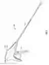 Fig. 04 - Surgical fastener with predetermined resorption rate