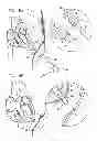 Fig. 24 - MINIMALLY INVASIVE SURGICAL TECHNIQUES