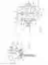 Fig. 02 - Bone fixation device