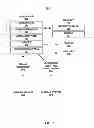 Fig. 07 - Metrics of electrical dyssynchrony and electrical activation patterns from surface ECG electrodes