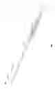 Fig. 16 - TRANSCATHETER MITRAL VALVE AND DELIVERY SYSTEM