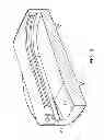 Fig. 06 - INTERVERTEBRAL DISC