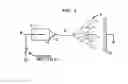Fig. 02 - Production of tissue engineered digits and limbs