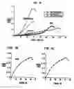 Fig. 06 - Production of tissue engineered digits and limbs