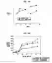 Fig. 09 - Production of tissue engineered digits and limbs