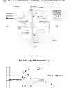 Fig. 06 - Basketball shot-tracking system