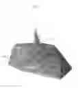 Fig. 02 - HARDSCAPE TORCH