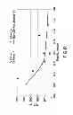 Fig. 08 - VALIDATION OF PHYSICAL AND MECHANICAL ROCK PROPERTIES FOR GEOMECHANICAL ANALYSIS