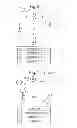 Fig. 03 - Detection of data in a sequence of characters
