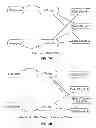 Fig. 04 - Cooperative resource management