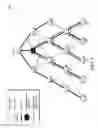 Fig. 06 - Reliable bulk data dissemination using rateless codes