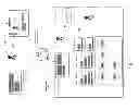 Fig. 02 - METHOD AND APPARATUS TO MAP SERVICE OFFERINGS TO SERVICE ITEMS