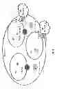 Fig. 05 - METHOD AND APPARATUS TO MAP SERVICE OFFERINGS TO SERVICE ITEMS