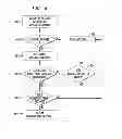Fig. 07 - System and method for generating intentional interruptions during gatherings