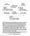 Fig. 09 - System and Method for Symmetrical Direct Memory Access (SDMA)