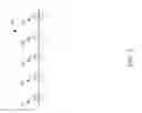 Fig. 04 - Fast bulk z-order for graphic elements