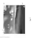 Fig. 02 - SMART DRAG-AND-DROP