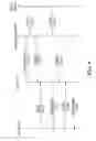 Fig. 06 - DISCRETE SECOND WINDOW FOR ADDITIONAL INFORMATION FOR USERS ACCESSING AN AUDIO OR MULTIMEDIA CONFERENCE