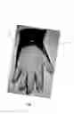 Fig. 02 - GLOVE WITH MOISTURE ABOSRBENT APPLICATOR LAYER