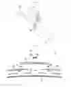 Fig. 19 - WIPER BLADE