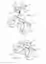 Fig. 06 - Clip