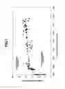 Fig. 07 - Process for producing forged product