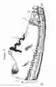 Fig. 03 - SOLAR POWERED L.C.D./L.E.D/O.L.E.D. FOOTWEAR