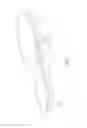 Fig. 08 - FOLDABLE SHOE SOLE