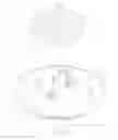 Fig. 09 - Mosquito coil and holder system