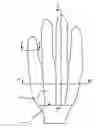 Fig. 01 - Glove