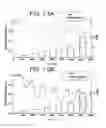 Fig. 06 - GAS SENSORS AND METHODS OF PREPARATION THEREOF