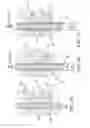 Fig. 08 - Rack including forcing unit and optical apparatus having the same