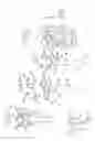 Fig. 02 - Open ended socket wrench