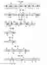 Fig. 09 - Explosive assembly and method