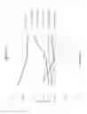 Fig. 34 - Apparatus for carbonation of a cement mix