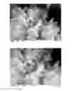 Fig. 01 - Composition and method for controlling the wettability of surfaces
