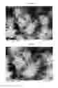 Fig. 03 - Composition and method for controlling the wettability of surfaces