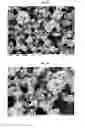 Fig. 04 - Composition and method for controlling the wettability of surfaces