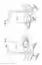 Fig. 03 - Tray table with rotatable inner tray