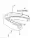 Fig. 01 - Mouthguard