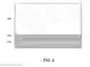 Fig. 09 - Photovoltaic devices