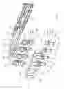 Fig. 06 - Fluid coupling