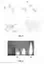 Fig. 02 - Hypergolic salts with borane cluster anions
