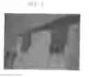 Fig. 02 - Curtain