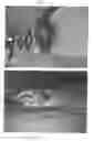 Fig. 03 - Curtain